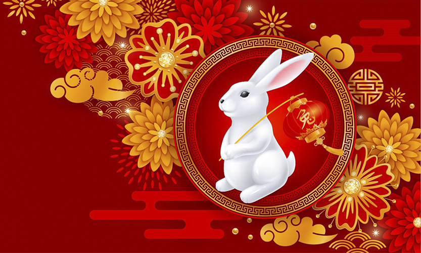 Kuvassa on pupu ja punaisia sekä oransseja kukkia.